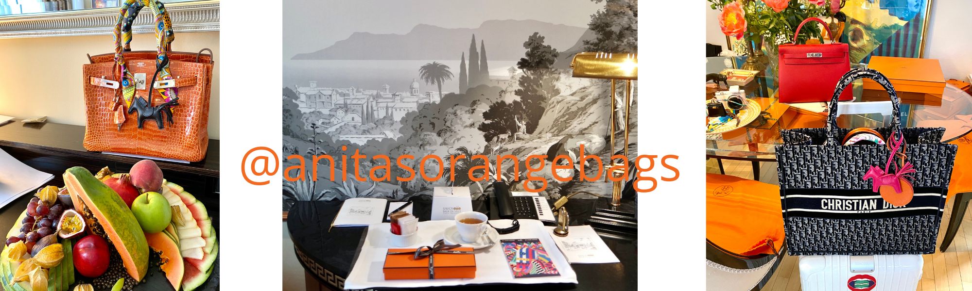 Anitas Orange Bags 2022 New Arrivals February