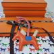 HERMÉS CHARM RODEO PM IN MILO ORANGE
