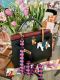 HERMÉS KELLY 32 TRI COLOUR BOX SELLIER GOLD HARDWARE