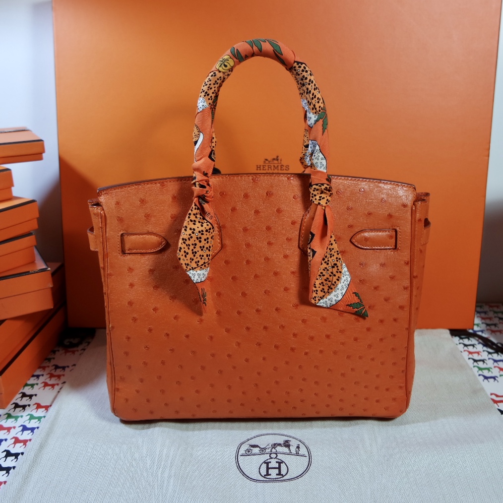 Hermès Birkin 25 Ostrich Tangerine Orange Palladium – ZAK BAGS