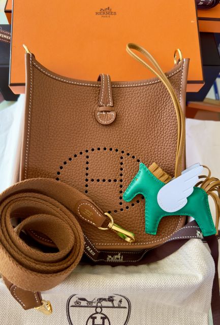 HERMÈS MINI EVELYNE GOLD CLEMENCE LEDER GHW